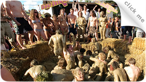 Festivals 360 virtual tour